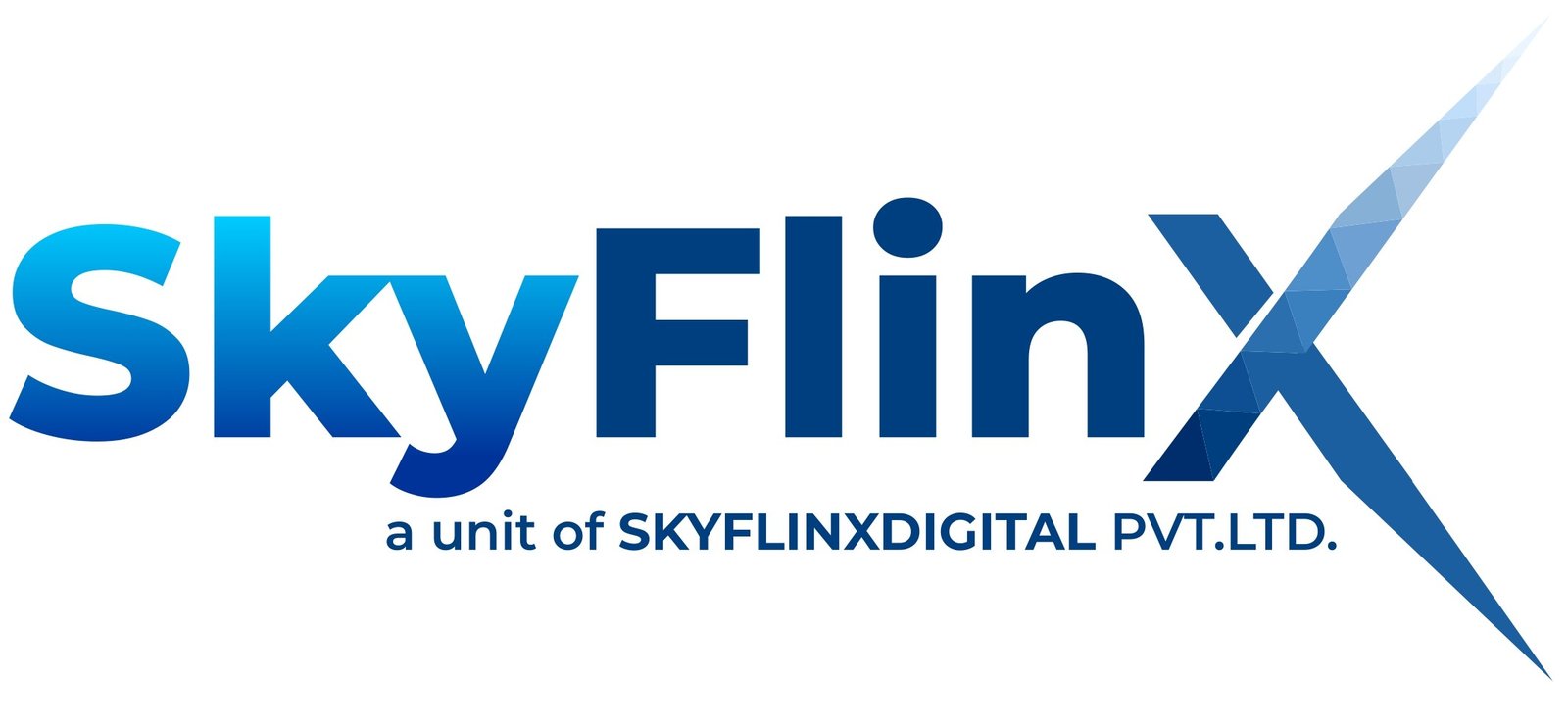SkyFlinX Digital — Digital Agency OMR Chennai